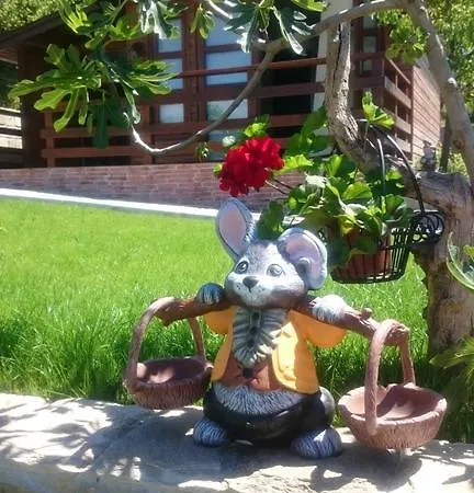 Casa de Férias Estate Sveti Vlas