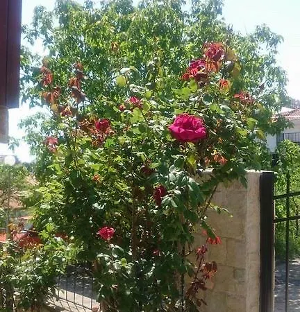 Estate Sveti Vlas
